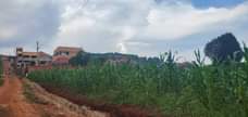 A picture of 100 100ft 25decimals for sale in Seguku Katale With ready
