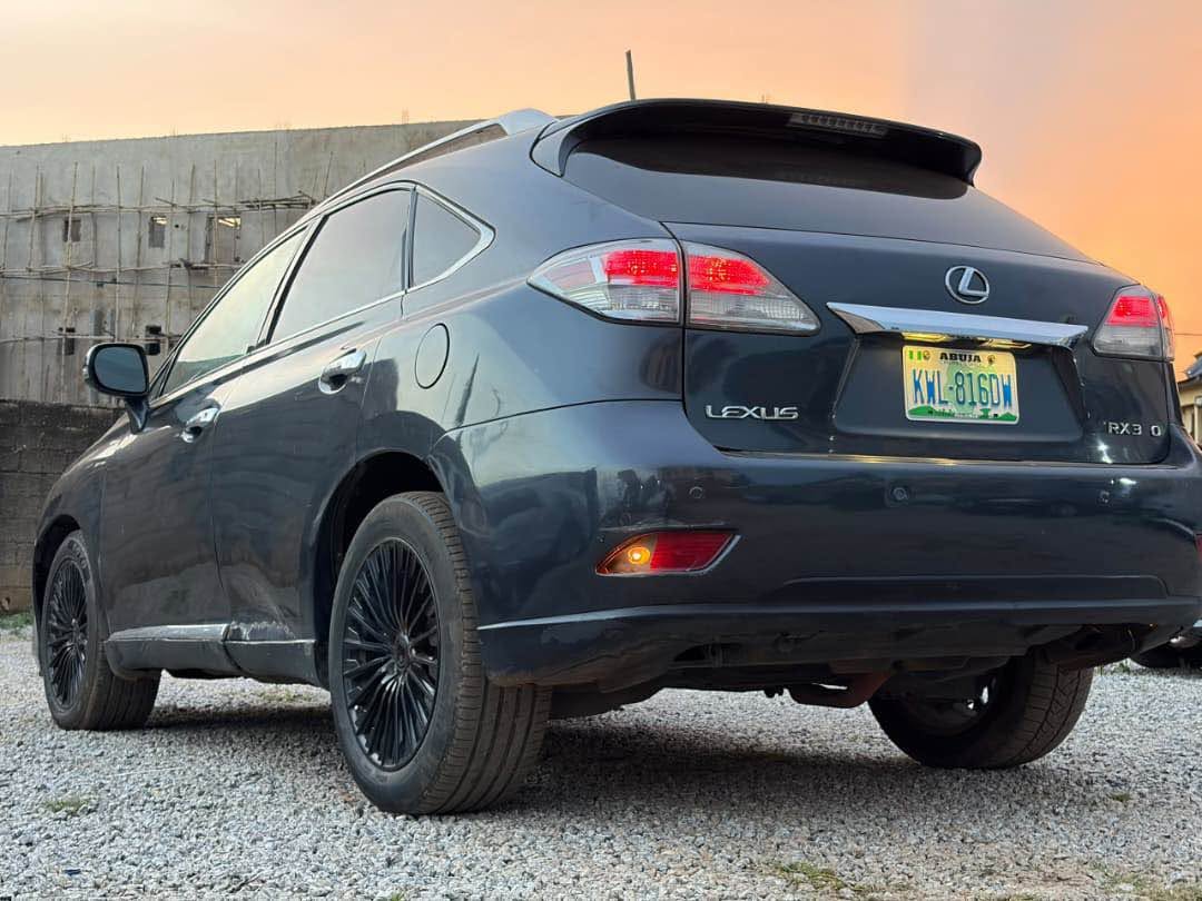 A picture of 2010 LEXUS RX350