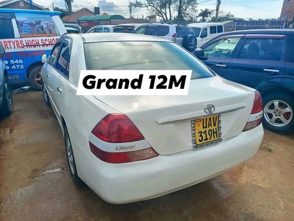 A picture of Toyota Grand canyon