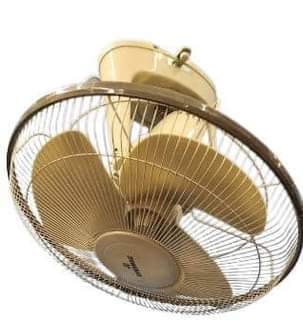 fans
