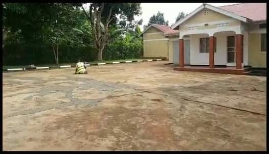 A picture of For sale 3bedroom 1bathroom standalone house all sitting on 2acres