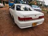 A picture of markii nabweru 6m 0705378411