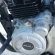 A picture of Boxer nauza tsh 580 000 Piga 0774068636
