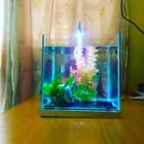 A picture of Cheap desktop mini aquarium