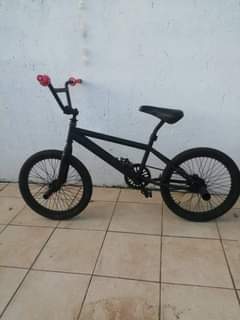 Collen M.