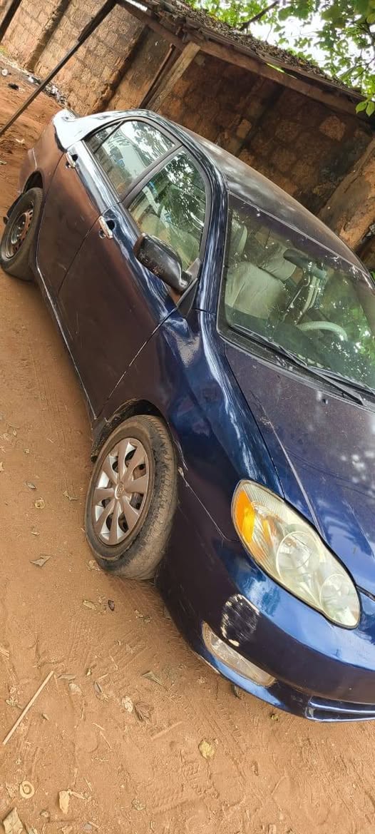 A picture of 04 Corolla for sale
