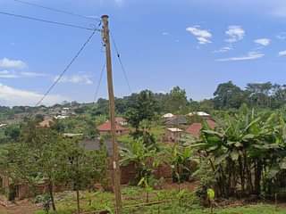 A picture of Land