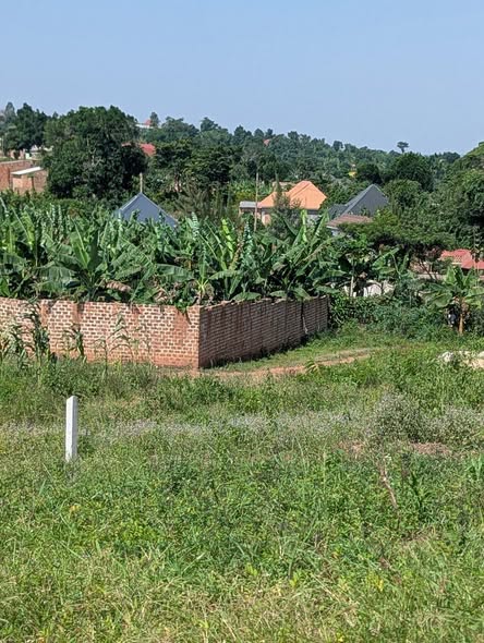 A picture of Land for sale