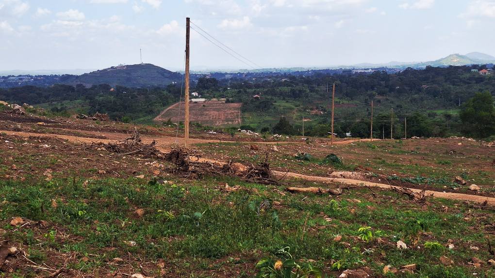 A picture of TITLED PLOTS AT 10M