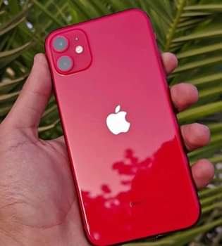 A picture of Iphone11 plain