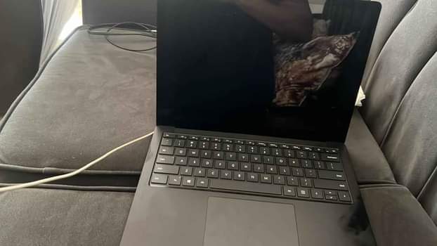 microsoft surface