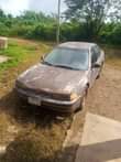 A picture of Honda hallar car