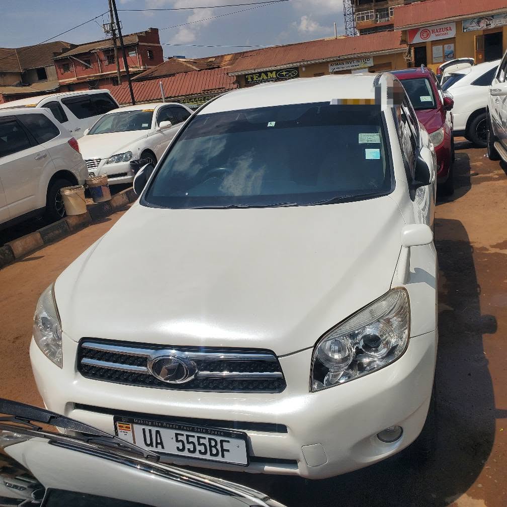 A picture of RAV4 2009 37M