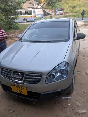A picture of Nissan DUALIS