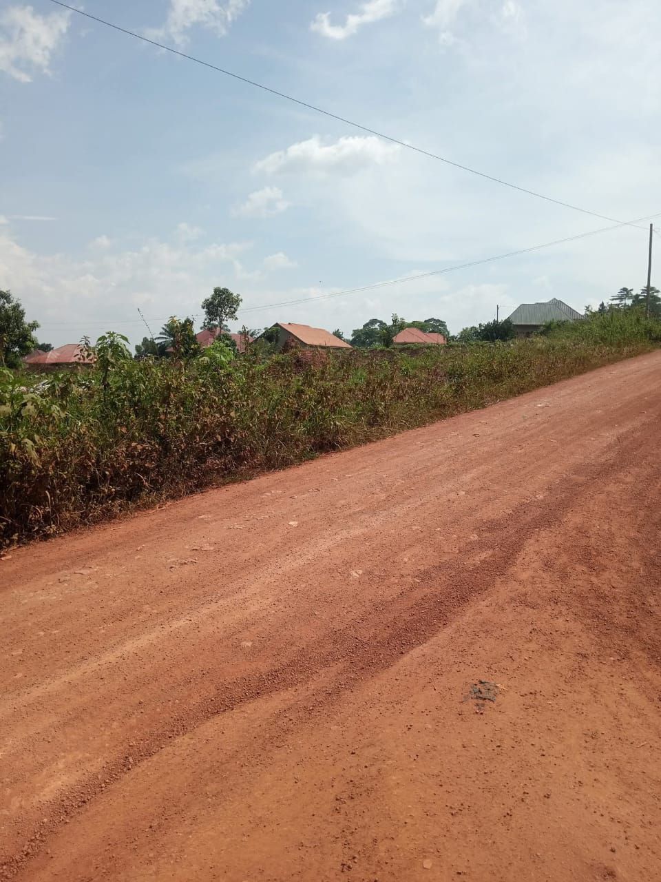 A picture of PLOTS OF LAND ONSALE