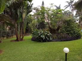 A picture of 1 acre for sale in Kololo lower terrace freehold land