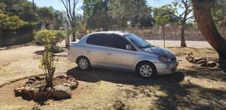 used toyota platz
