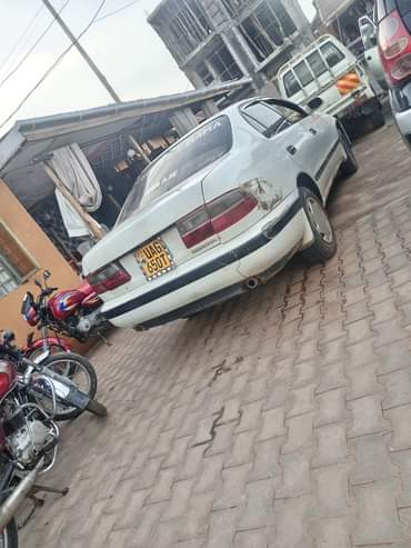 A picture of 0705627113 4 8m
