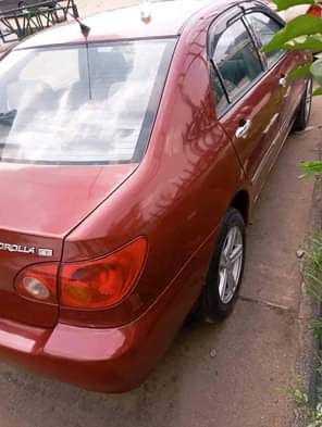 A picture of Corolla day Don t allow the boat to leave you