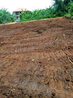 Ssentumbwe B.