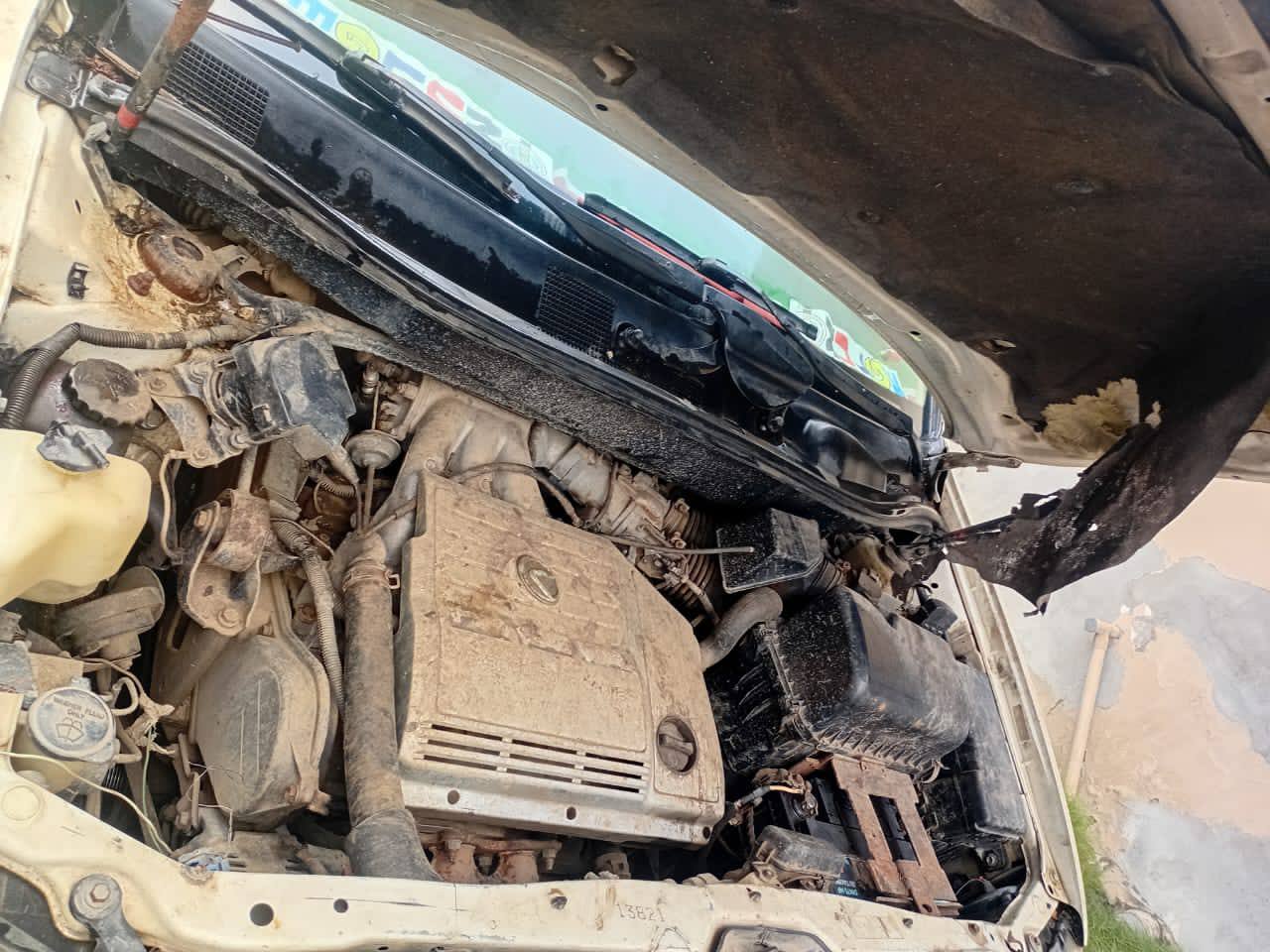 A picture of Rx 300