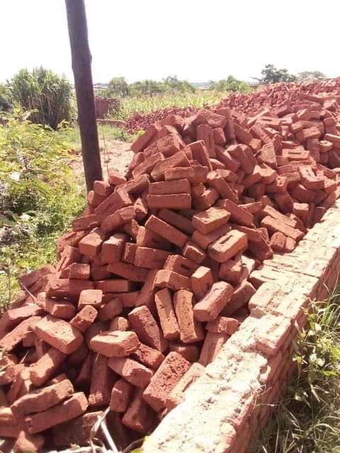 bricks