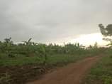 A picture of Matugga kilolo Namayamba village LC 1 on matugga semuto rd