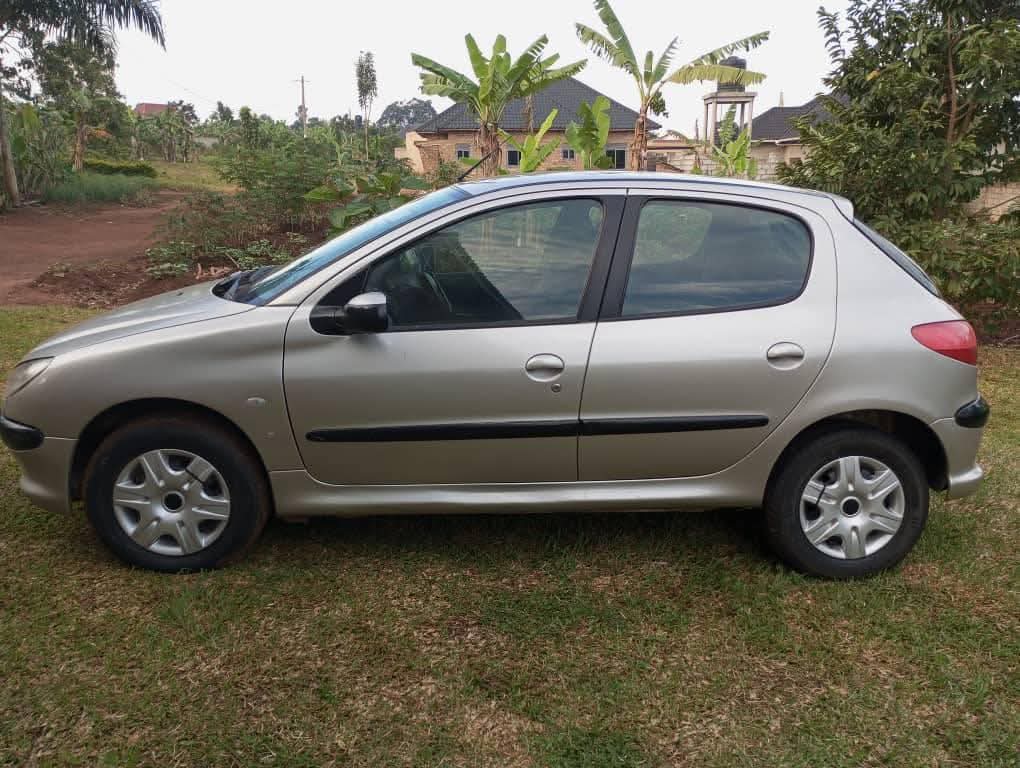 A picture of 1996 Peugeot 206