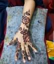 A picture of Call 0687784960 Whatspp 0679470600