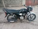 A picture of FULL DOCUMENT ZOTE 0659 666608