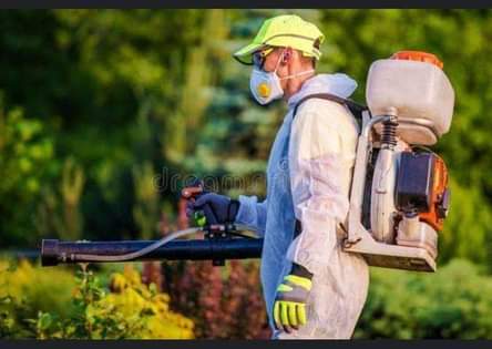 A picture of Pest control