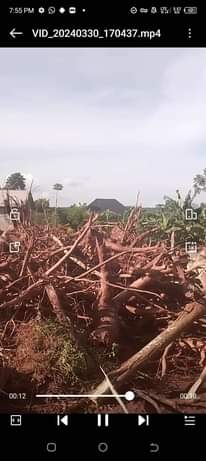 A picture of Nice Plot for sale Price 6 5millions
