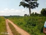 A picture of Good plots on sale Location Matuga kitungwa Along semuto road