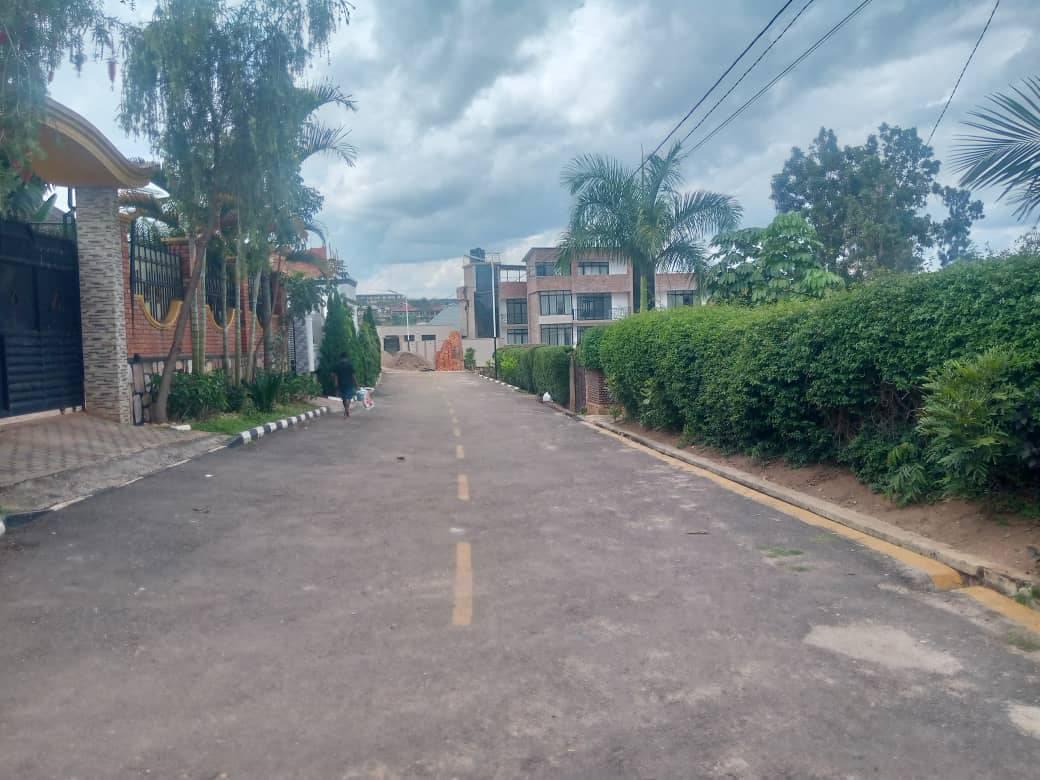 houses for rent