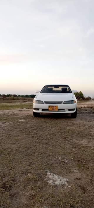 A picture of Mzigo upo sokoni huu