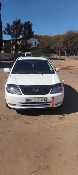 used toyota corolla