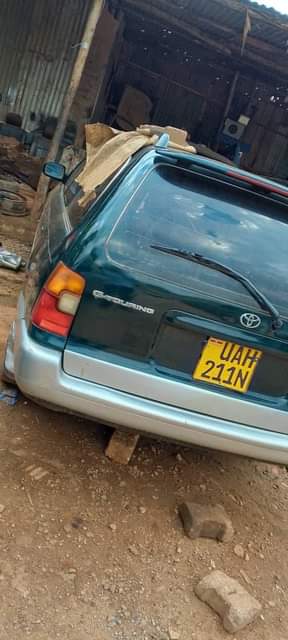A picture of 0703704731