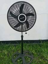 A picture of NAUZ FENI ZA JUU NA STAND