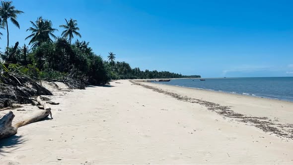 A picture of Beach plot