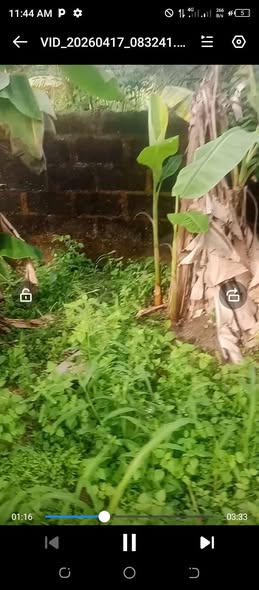 A picture of Land in a very develop place