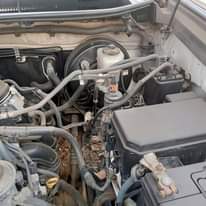 A picture of Prado model 2016