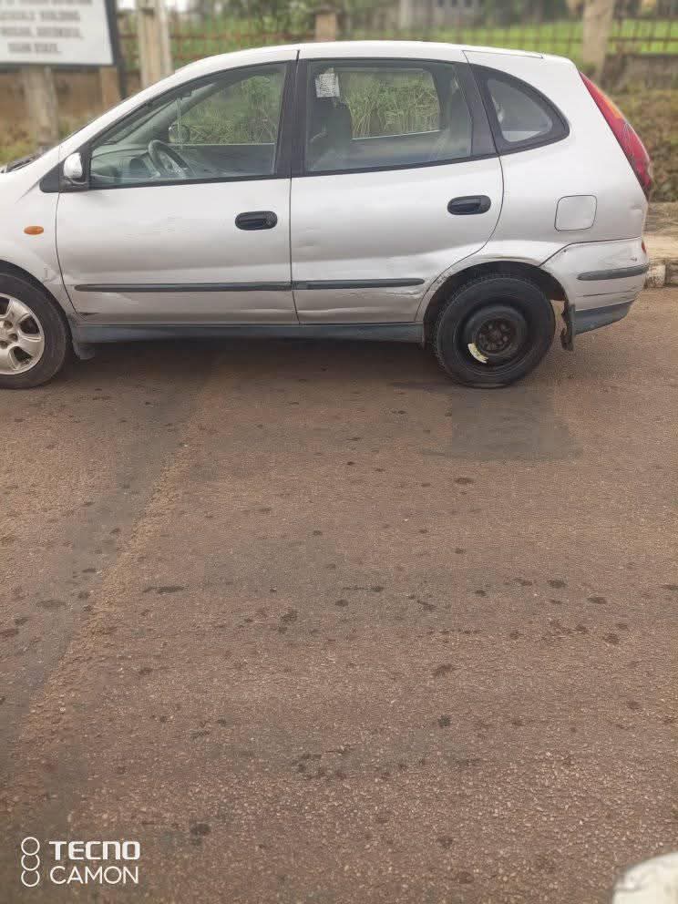 A picture of Almera tino