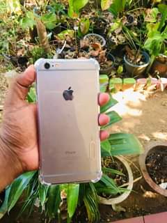 A picture of iPhone 6 Plus 64gb Rose Gold