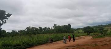 A picture of land for sell at Apo dictress 3thousnd meter