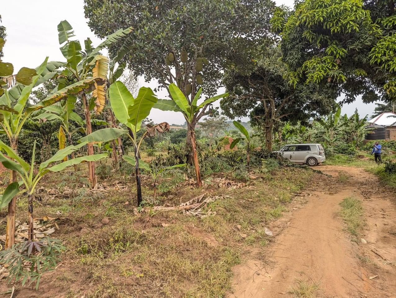 A picture of Muduuma mityana rd plot