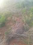 A picture of KIWANJA KINAUZWA