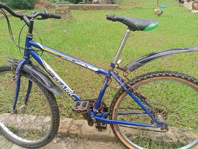 A picture of Sports bike bicycle 
