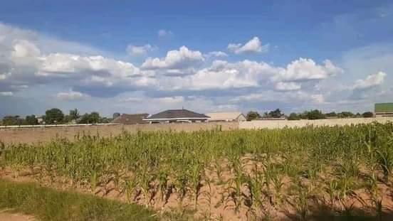 property chitungwiza