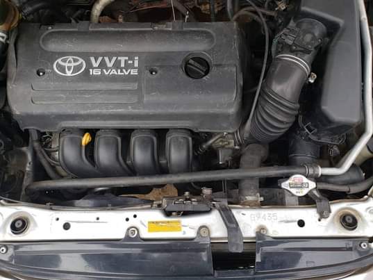 A picture of Rav4 killtime