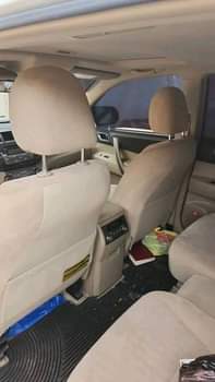 A picture of Direct Belgium 2009 010 Highlander None registered Pure first body